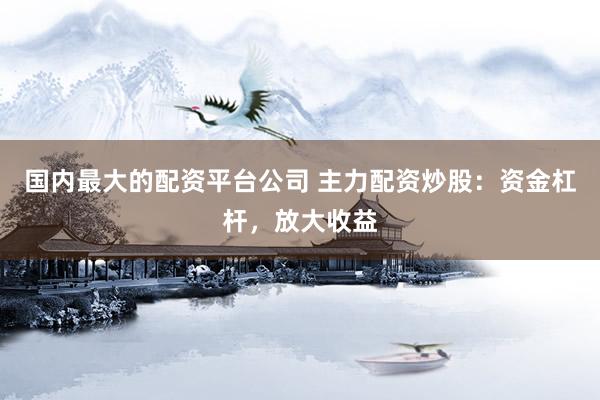 国内最大的配资平台公司 主力配资炒股：资金杠杆，放大收益