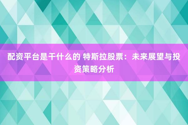 配资平台是干什么的 特斯拉股票：未来展望与投资策略分析