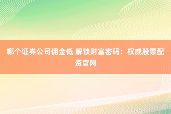 哪个证券公司佣金低 解锁财富密码：权威股票配资官网