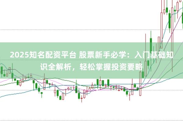 2025知名配资平台 股票新手必学：入门基础知识全解析，轻松掌握投资要略