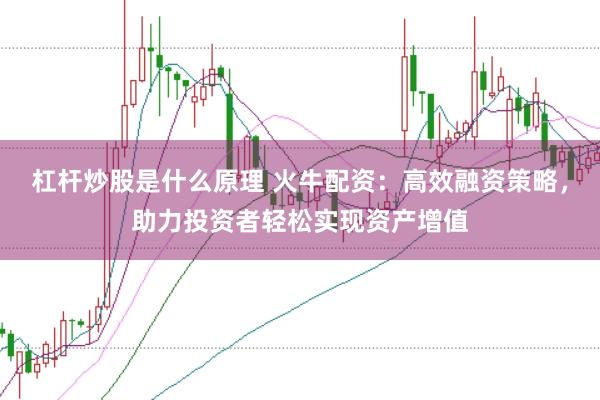 杠杆炒股是什么原理 火牛配资：高效融资策略，助力投资者轻松实现资产增值