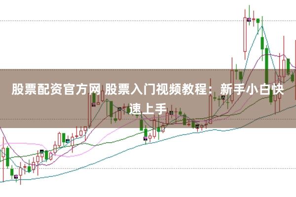 股票配资官方网 股票入门视频教程：新手小白快速上手