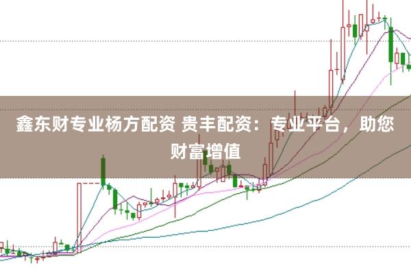 鑫东财专业杨方配资 贵丰配资：专业平台，助您财富增值