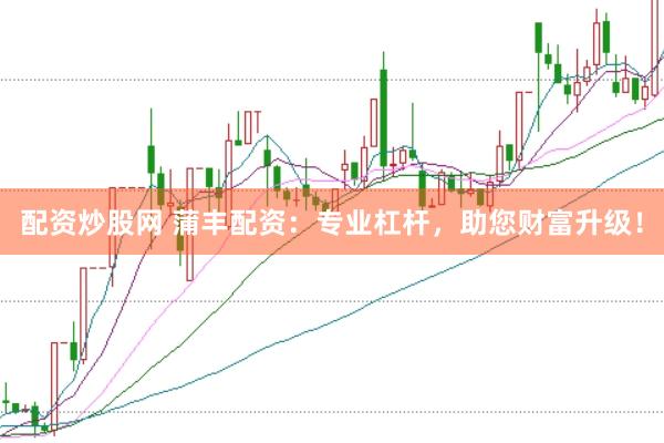 配资炒股网 蒲丰配资：专业杠杆，助您财富升级！