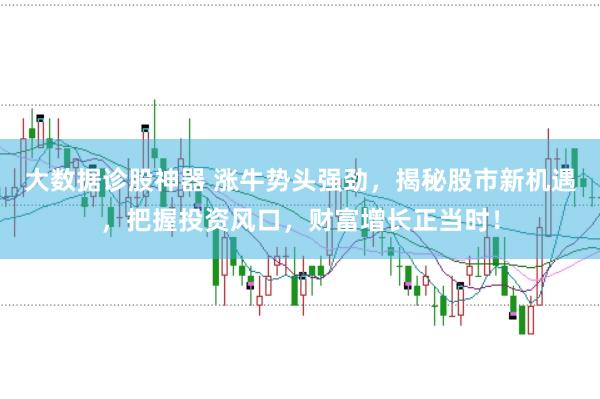 大数据诊股神器 涨牛势头强劲，揭秘股市新机遇，把握投资风口，财富增长正当时！
