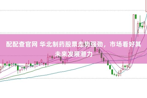 配配查官网 华北制药股票走势强劲，市场看好其未来发展潜力