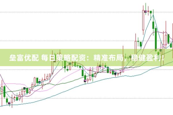 垒富优配 每日策略配资：精准布局，稳健盈利！