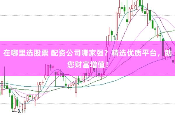 在哪里选股票 配资公司哪家强？精选优质平台，助您财富增值！