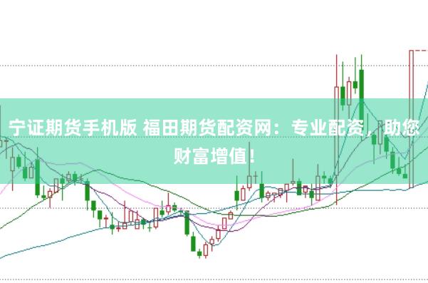宁证期货手机版 福田期货配资网：专业配资，助您财富增值！