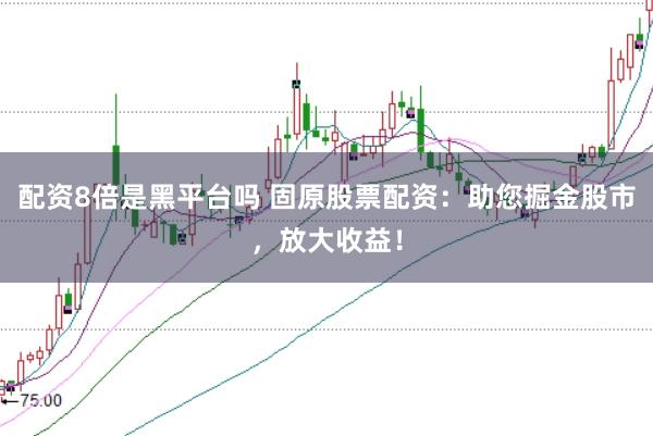 配资8倍是黑平台吗 固原股票配资：助您掘金股市，放大收益！