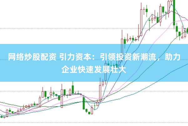 网络炒股配资 引力资本：引领投资新潮流，助力企业快速发展壮大