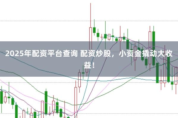 2025年配资平台查询 配资炒股，小资金撬动大收益！