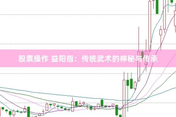 股票操作 益阳指：传统武术的神秘与传承