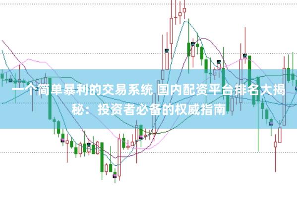 一个简单暴利的交易系统 国内配资平台排名大揭秘：投资者必备的权威指南