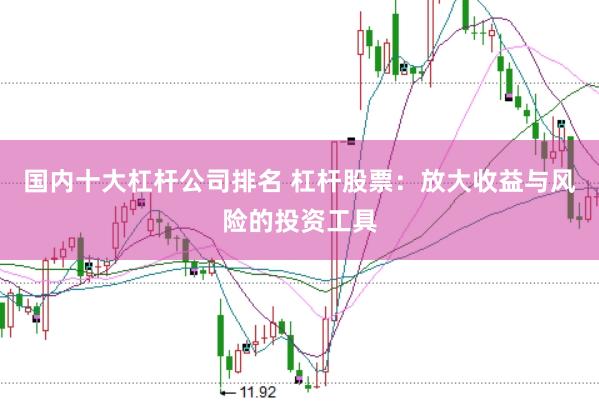 国内十大杠杆公司排名 杠杆股票：放大收益与风险的投资工具