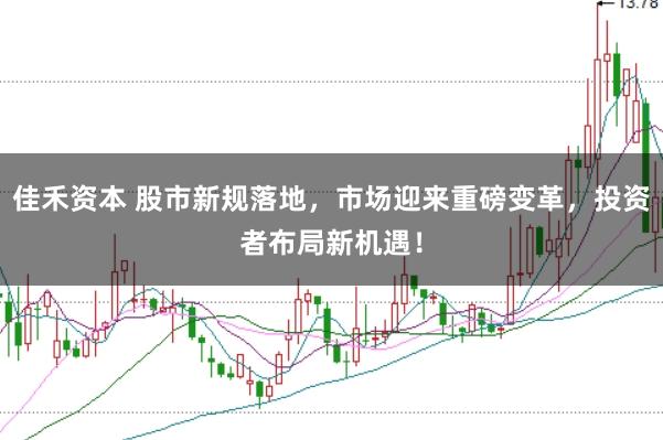 佳禾资本 股市新规落地,市场迎来重磅变革,投资者布局新机遇!