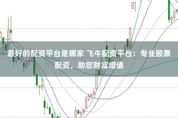 最好的配资平台是哪家 飞牛配资平台:专业股票配资,助您财富增值