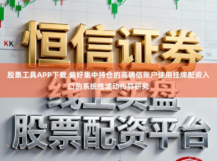 股票工具APP下载 偏好集中持仓的高确信账户使用挂牌配资入口的系统性波动传导研究