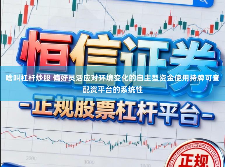 啥叫杠杆炒股 偏好灵活应对环境变化的自主型资金使用持牌可查配资平台的系统性